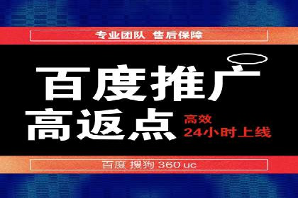 成功案例：百度推广代理助力电商突破